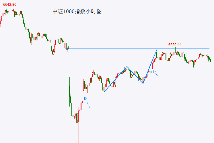 这个盛夏，自在呼吸每一天~