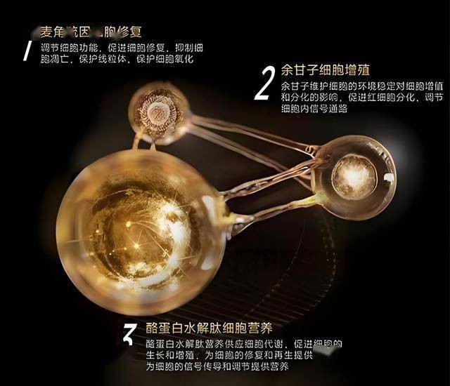 定州市举办“美在定州青衿行”书香文化研学活动
